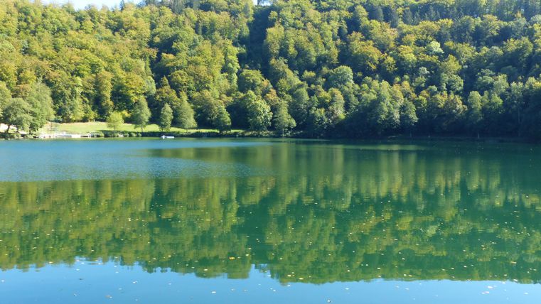 Een rustige meer omgeven door groene bomen. Het wateroppervlak weerspiegelt de natuur.