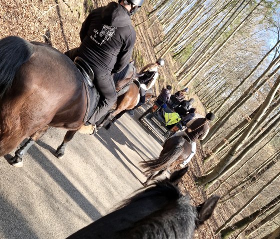 Reitausflug, &copy; Sophie Letsch