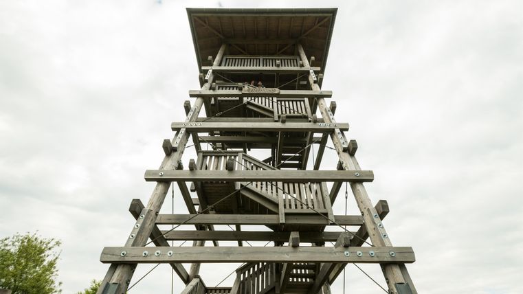Ein Aussichtsturm aus Holz mit einer Treppe, die zur Plattform führt. Der Himmel ist bewölkt und die Umgebung ist grün.