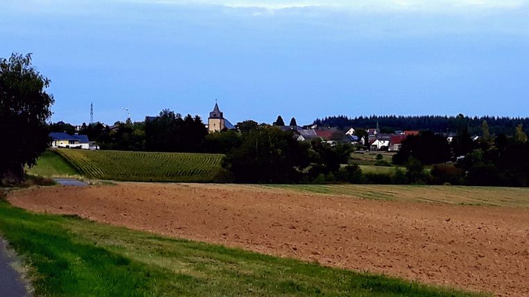 A rural landscape with a field and a small village in the background. The sky is cloudy and the surroundings appear calm and picturesque.