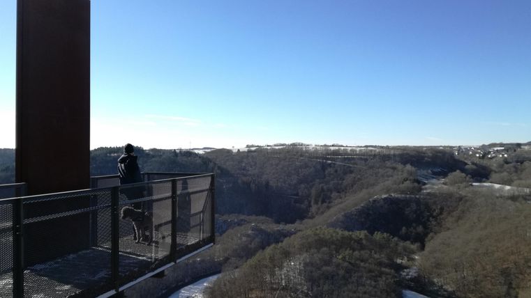 Eine Aussicht auf ein bewaldetes Tal unter einem klaren blauen Himmel. Im Vordergrund steht eine Person auf einer Aussichtsplattform.