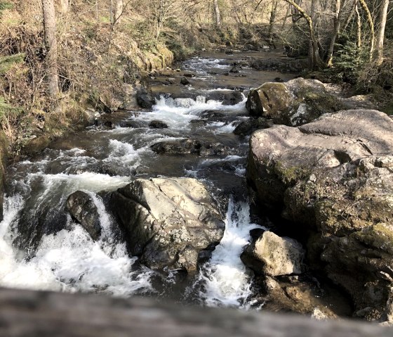 Blick von der Germanenbr&uuml;cke, &copy; GesundLand Vulkaneifel GmbH