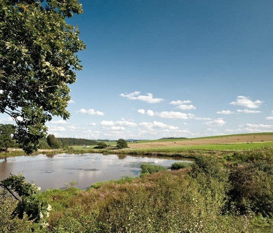 Blick aufs Eichholzmaar, &copy; Eifel Tourismus GmbH, Dominik Ketz