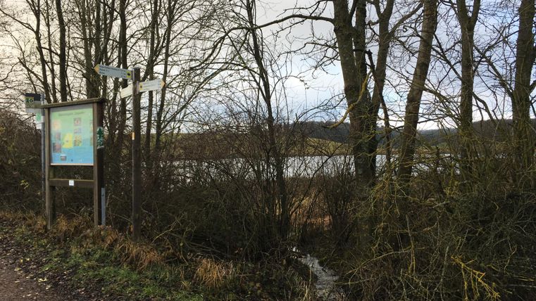 A quiet path along a body of water, surrounded by trees and shrubs. In the foreground, there is an information sign.