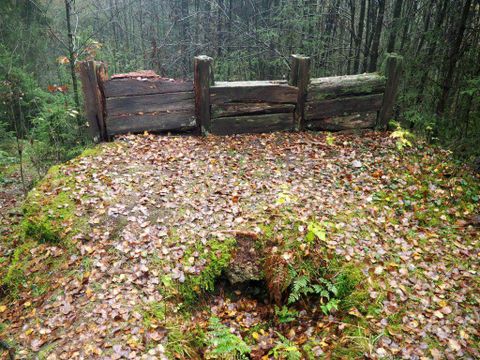 Keltische Ringwalss