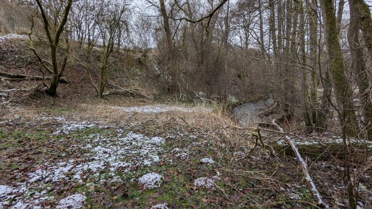 A winter landscape with bare trees and straw-covered areas. The ground is covered with some snow.
