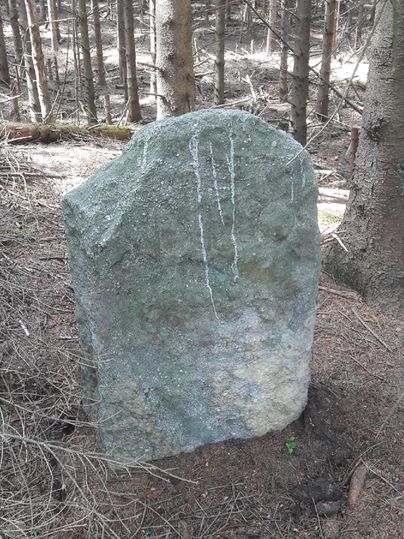 A large, gray stone stands in the forest between trees. The ground around the stone is covered with dry leaves and soil.