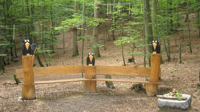 Eine Holzbank im Wald mit drei dekorativen Vogelfiguren auf den Pfosten. Der Wald ist grün und dicht bewachsen.