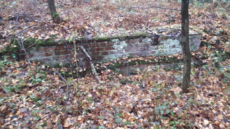 Een vervallen bakstenen muur, omringd door bladeren en kleine planten. De scène bevindt zich in het bos en toont de tekenen van de natuur die langzaam terugkomt.