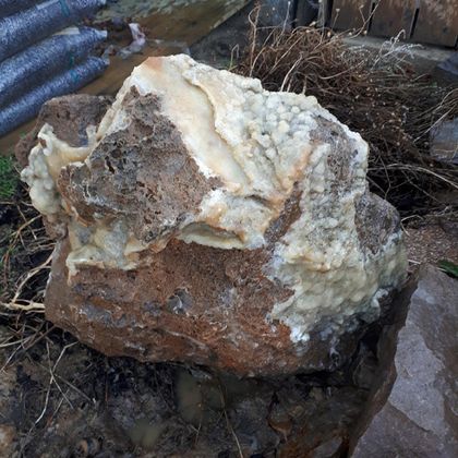 A large, irregular rock with a rough surface and light minerals. It lies on the ground, surrounded by dry grass and other rocks.