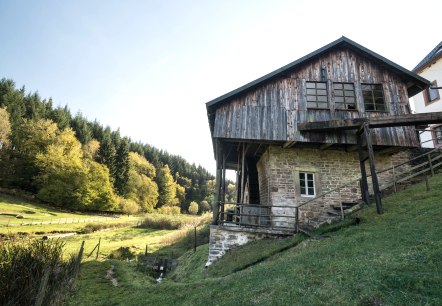 Hinterbüsch path: Cutting mill near Meisburg, © Eifel Tourismus GmbH/D.Ketz