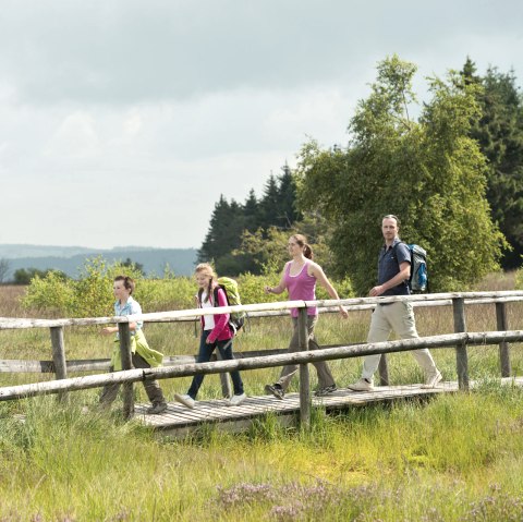 Hautes Fagnes près de Botrange, © vennbahn.eu