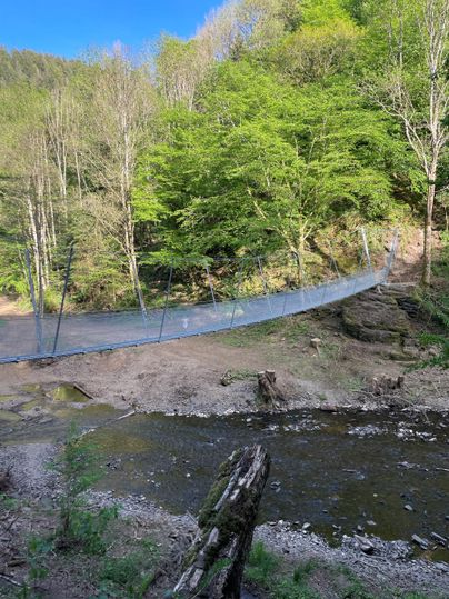 A suspension bridge spans a small river in a wooded landscape. The surroundings are green and flooded with light.