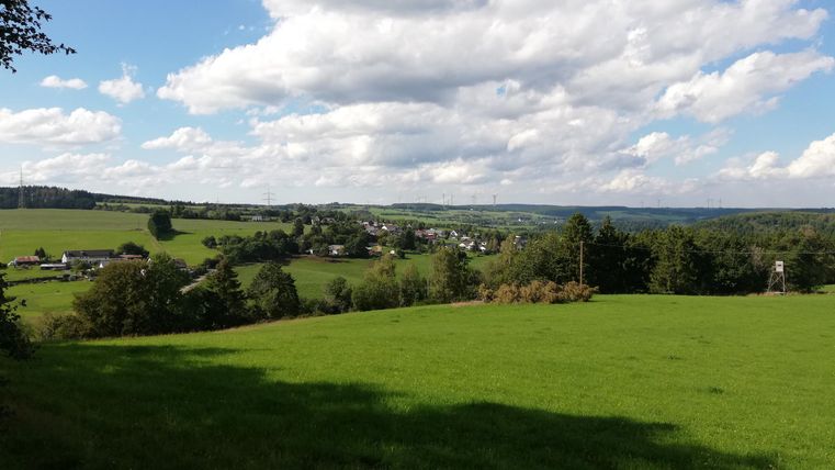 Green meadows and trees with a village in the background under a blue sky with clouds.