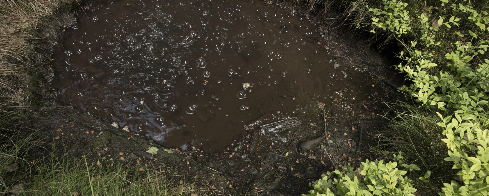 Kohlendioxidquelle Gelenberg, &copy; Natur- und Geopark Vulkaneifel, KP Kappest