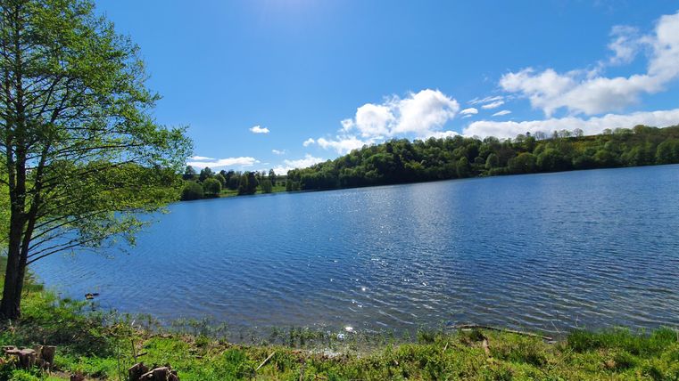 Ein ruhiger See unter einem klaren blauen Himmel. Im Vordergrund stehen Bäume und das Wasser glitzert in der Sonne.