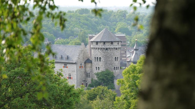 Eine Burg umgeben von Bäumen inmitten einer grünen Landschaft. Der Himmel ist bewölkt und verleiht der Szenerie eine ruhige Atmosphäre.