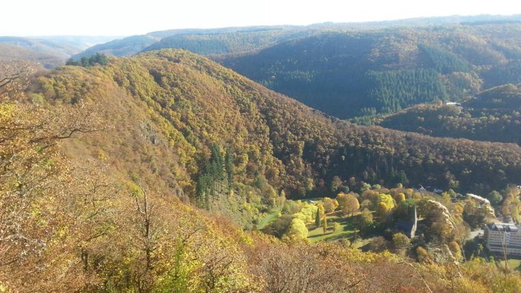 An impressive landscape with gentle hills and colorful foliage in autumn. In the background, dense forests and the clear blue of the sky can be seen.
