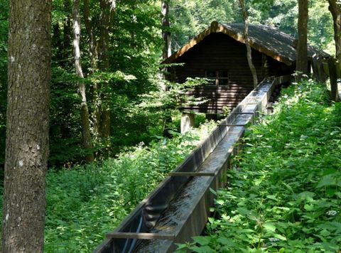 Ein altes Holzhaus umgeben von dichtem Wald. Neben dem Haus verläuft ein Wasserlauf durch die grüne Vegetation.