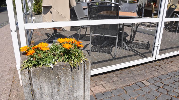 Ein Blumentopf mit orangefarbenen Blumen steht vor einem Glasfenster. Im Hintergrund sind Stühle und Tische zu sehen.