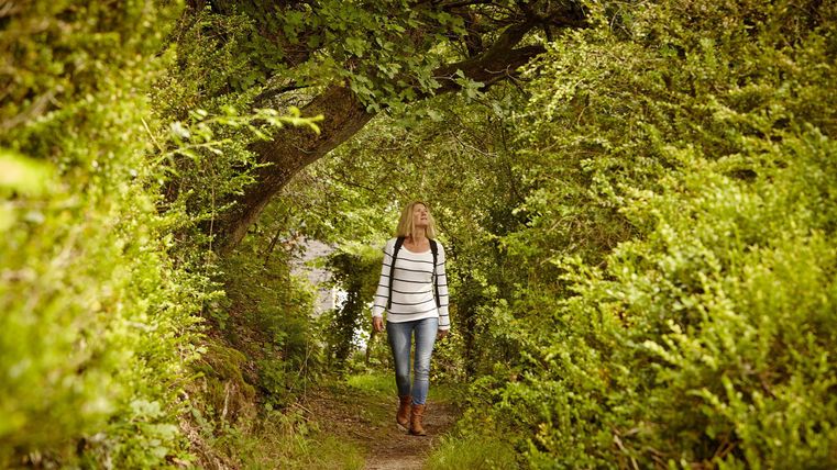 Eine Frau geht auf einem schmalen Weg durch einen grünen, schattigen Wald. Umgeben von dichtem Laub und Pflanzen, wirkt die Umgebung einladend und naturverbunden.