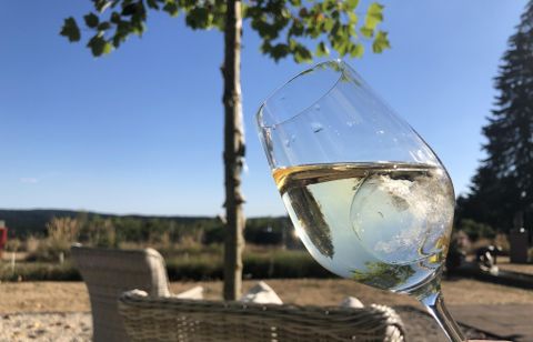 Een wijnglas met witte wijn glinstert in het zonlicht. Op de achtergrond zijn bomen en een ontspannen landschap te zien.