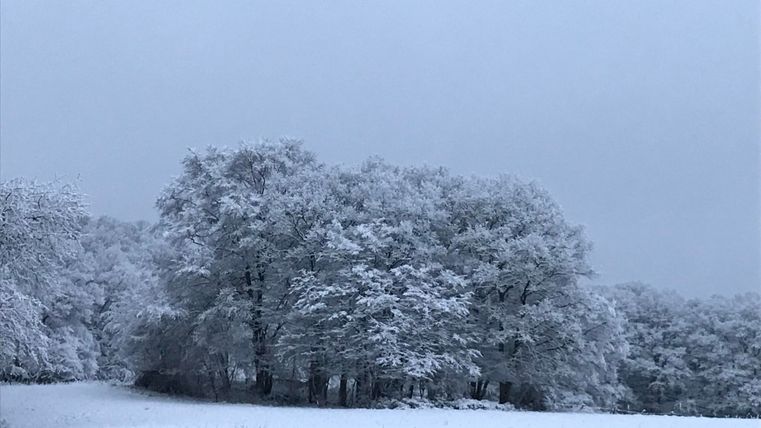 Winter in the Eifel