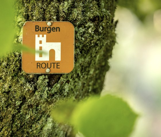Ein orangefarbenes Schild mit der Aufschrift 'Burgen-Route' h&auml;ngt an einem moosbewachsenen Baumstamm im Wald., &copy; Eifel Tourismus GmbH, Dominik Ketz