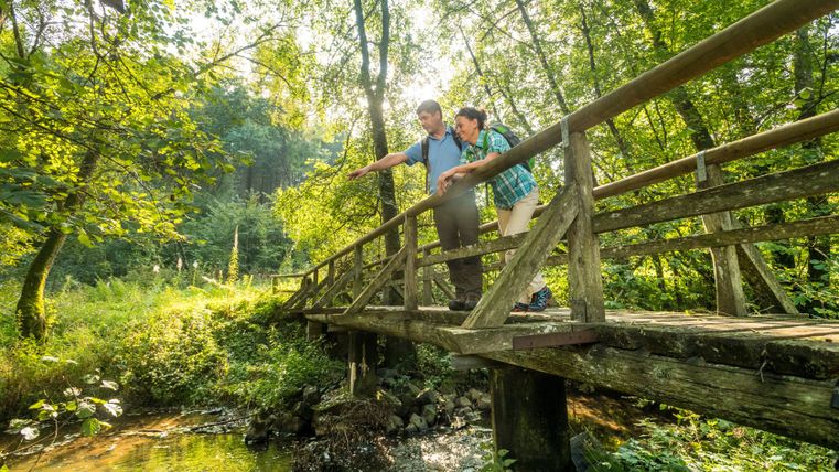 Zwei Personen stehen auf einer Holzbrücke über einen Bach in einem Waldgebiet.