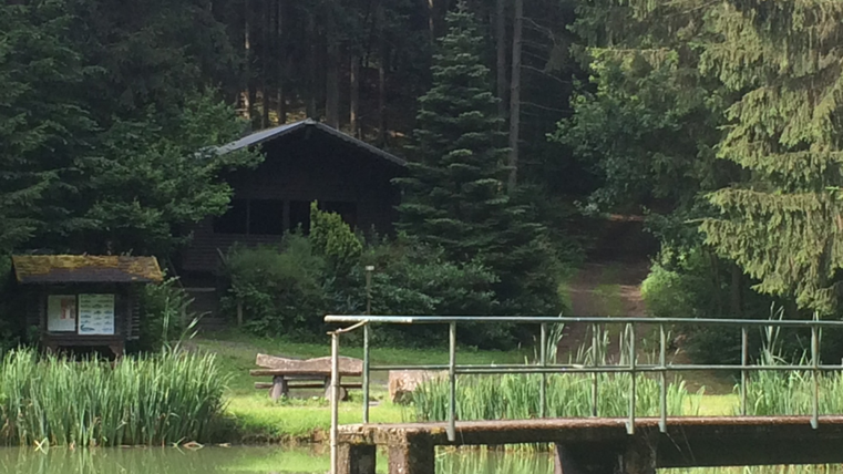 Een rustige vijver omgeven door bomen en struiken. Op de achtergrond staat een hut, omringd door groene ruimtes.