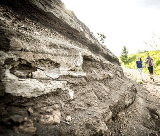 Wandeling op het vulkaanpad: Vulkanisch gesteente op de Steffelnkopf, © Eifel Tourismus GmbH, D. Ketz