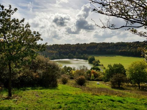 A picturesque landscape with a pond and green grass. In the background, forests and a partially cloudy sky can be seen.