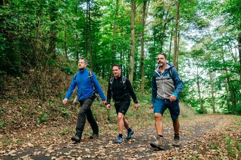 Drie mannen wandelen op een pad in het bos. Omgeven door groene bomen en bladeren.