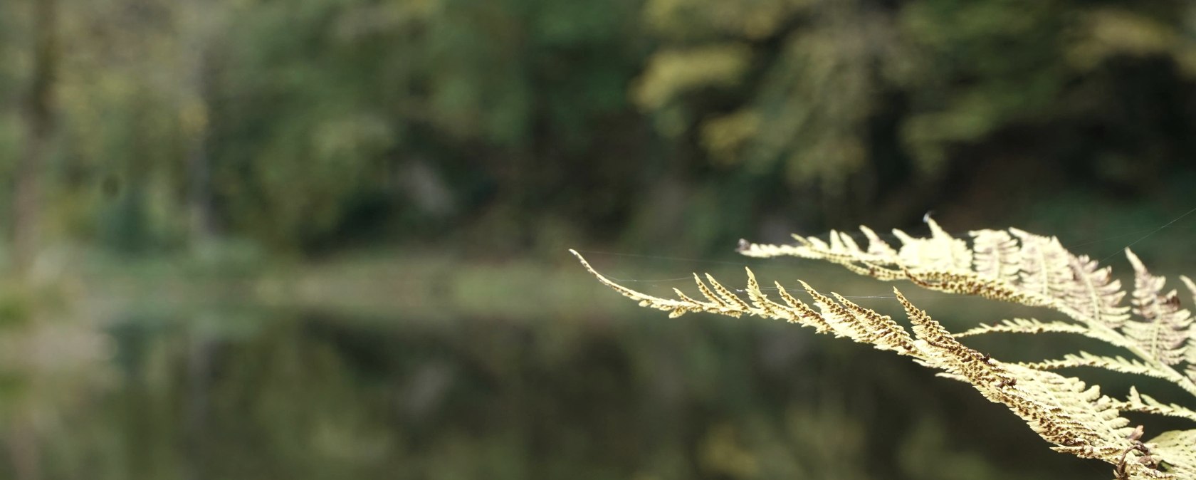 Burgweiher Manderscheid, &copy; GesundLand Vulkaneifel GmbH