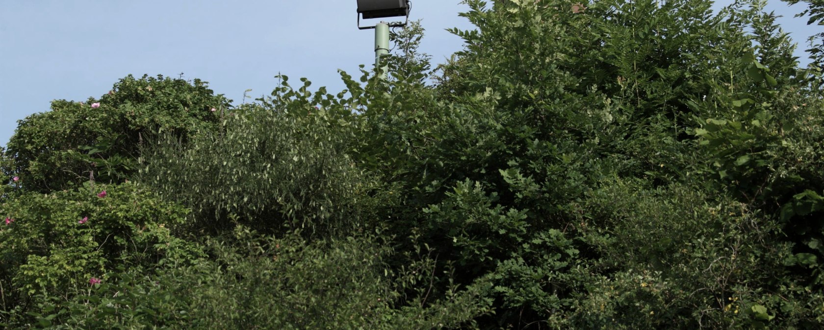 Mariens&auml;ule (1), &copy; Regnery