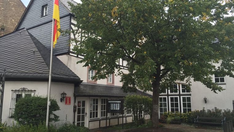A cozy building with a large tree in the foreground. A flag is hanging on the facade.