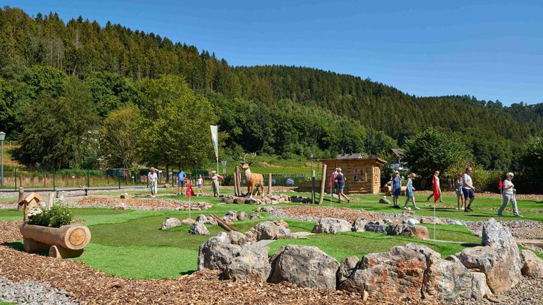 A beautiful playground in nature with many children playing. In the background, there are trees and a blue sky visible.