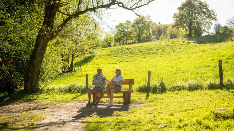 A sunny park with a bench on which two people are sitting. In the background, there is a green meadow and trees visible.