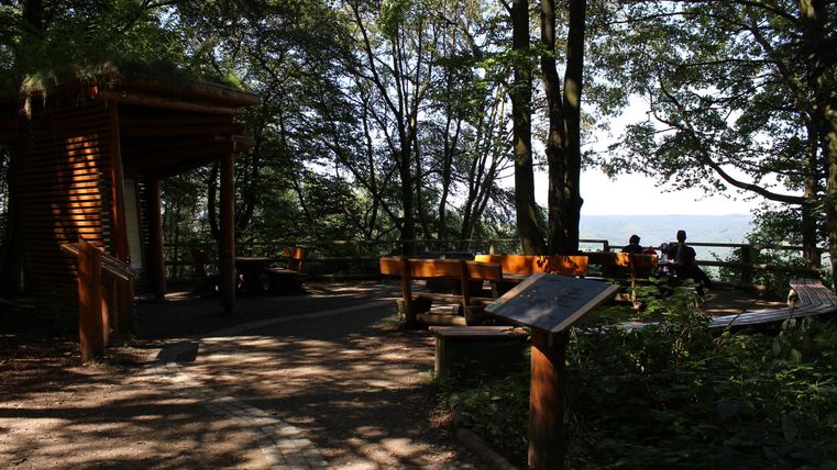 A quiet path through a forest with a view of the water. In the foreground, there are benches and informational signs.