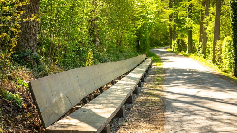 A long wooden bench stands by the path in a green forest. The sun shines through the trees, creating a pleasant atmosphere.