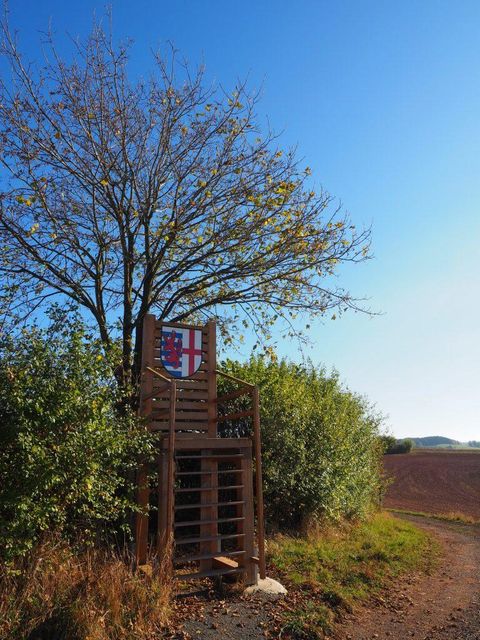 Een pad met een uitkijktoren en een boom ernaast. De lucht is helder en blauw.