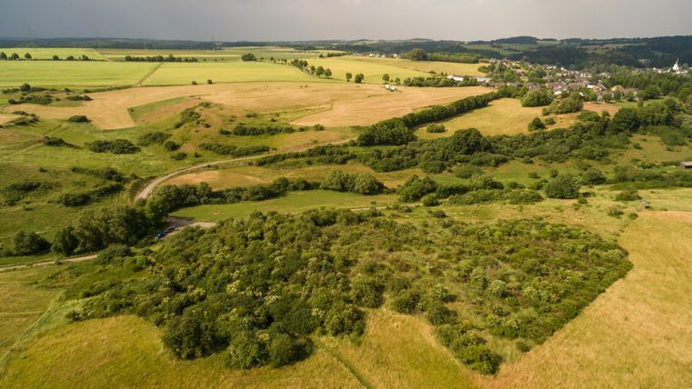 Eine weitläufige Landschaft mit Feldern und Bäumen. Im Hintergrund ist ein kleines Dorf zu sehen.