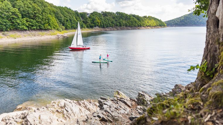 A tranquil lake with green shores and a sailing yacht. Two people are paddling on stand-up paddle boards near the shore.