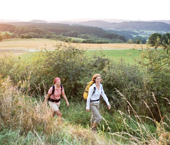 Eifelsteig, ambiance matinale lors de la randonnée, © Eifel Tourismus GmbH - Dominik Ketz