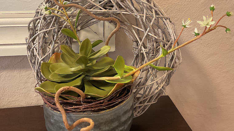 A decorative flower pot with a succulent and an artistic wreath of willow branches in the background. The plants add a vibrant and fresh atmosphere to the room.