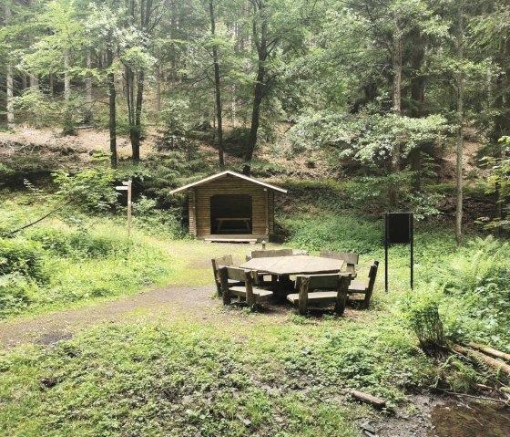 Dockweiler Drees mit Bank, &copy; GesundLand Vulkaneifel GmbH