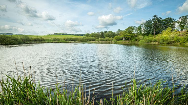 Blauw glinsterend water van het Eichholzmeer omringd door weiden en bossen.