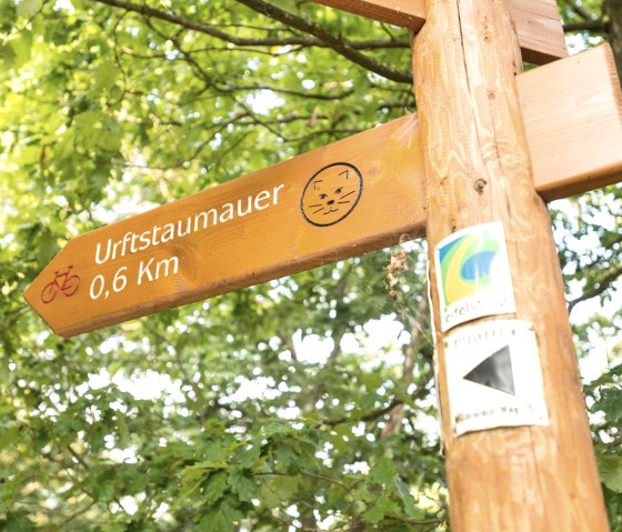 Vorbei am Wildnistrail auf dem Eifelsteig, © Eifel Tourismus GmbH, D. Ketz