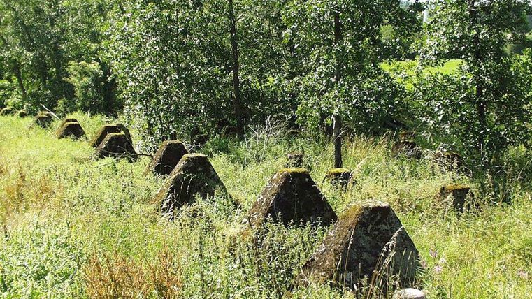 Betonpanzersperren des Westwalls in einer grünen, bewachsenen Landschaft mit Bäumen im Hintergrund.
