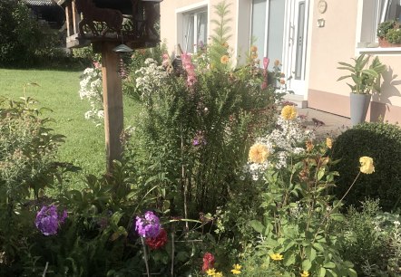 Herzlich Willkommen in Pension Jehnen